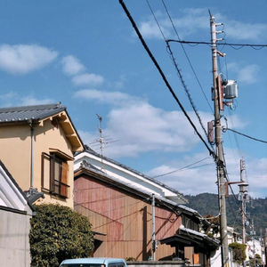 含着他的性器睡觉h
